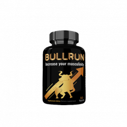 Bullrun (PL)