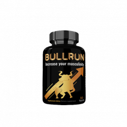 Bullrun (CZ)