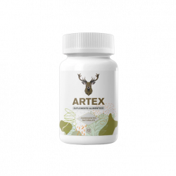 Artex (MX)