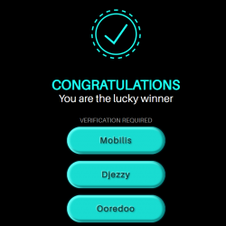 Lucky Winner - Pin Submit (DZ)