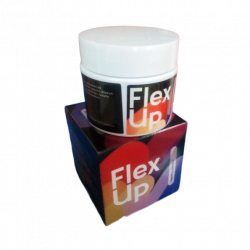 Flex Up (NG)