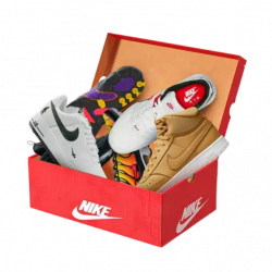 Sweeps Survey Nike Sneakers Prize Box Fix - CPL