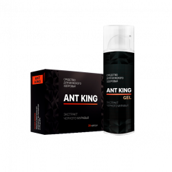 Ant King (GE)