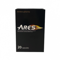 Ares (PL)
