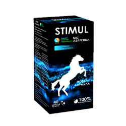 Stimul (UZ)