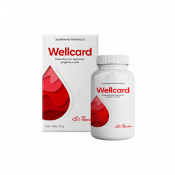 Wellcard (MX)
